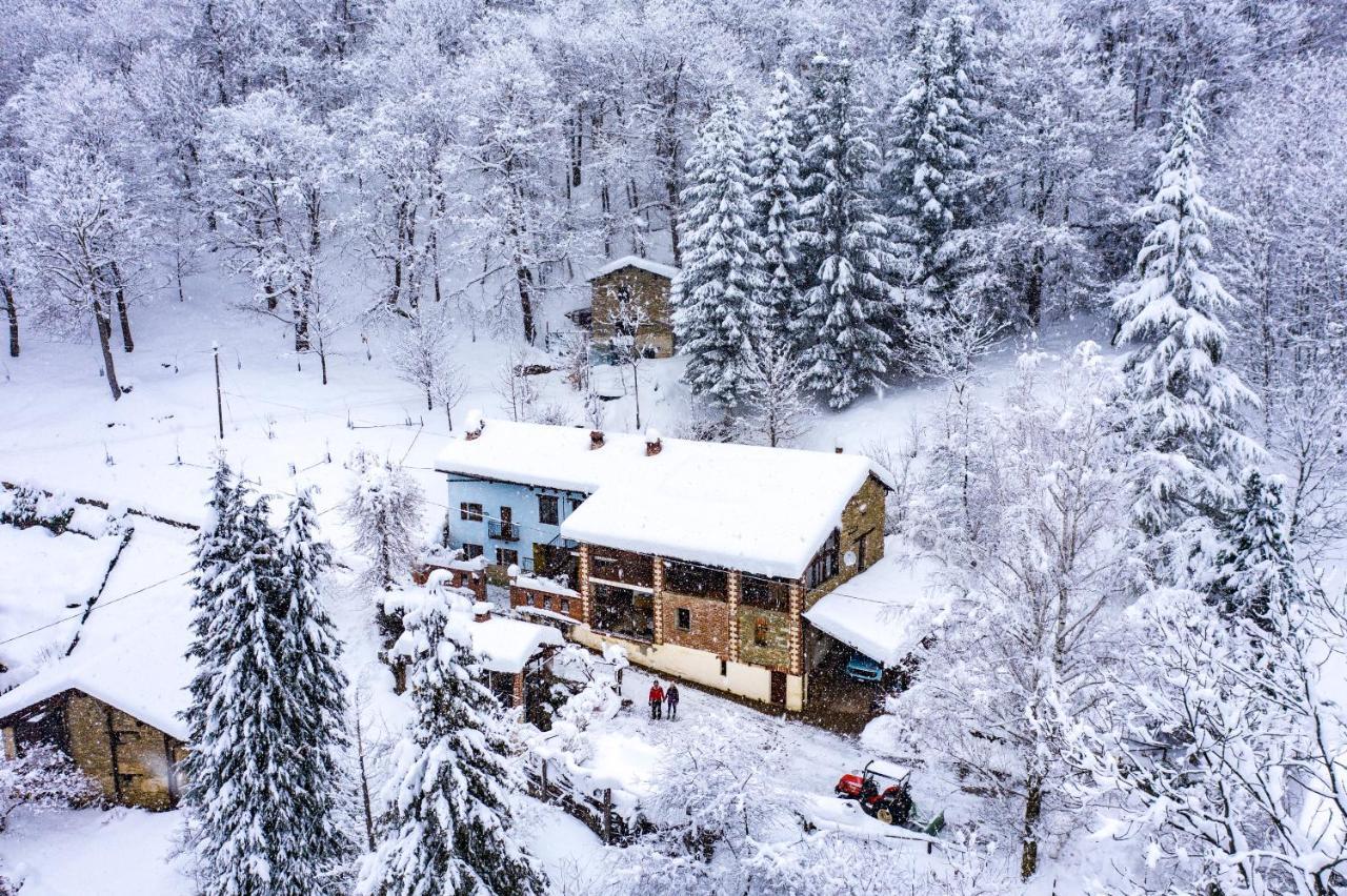 Iduevagamondi - Ospitalita Rurale Famigliare Di Montagna Bed and Breakfast Chiusa di Pesio Buitenkant foto