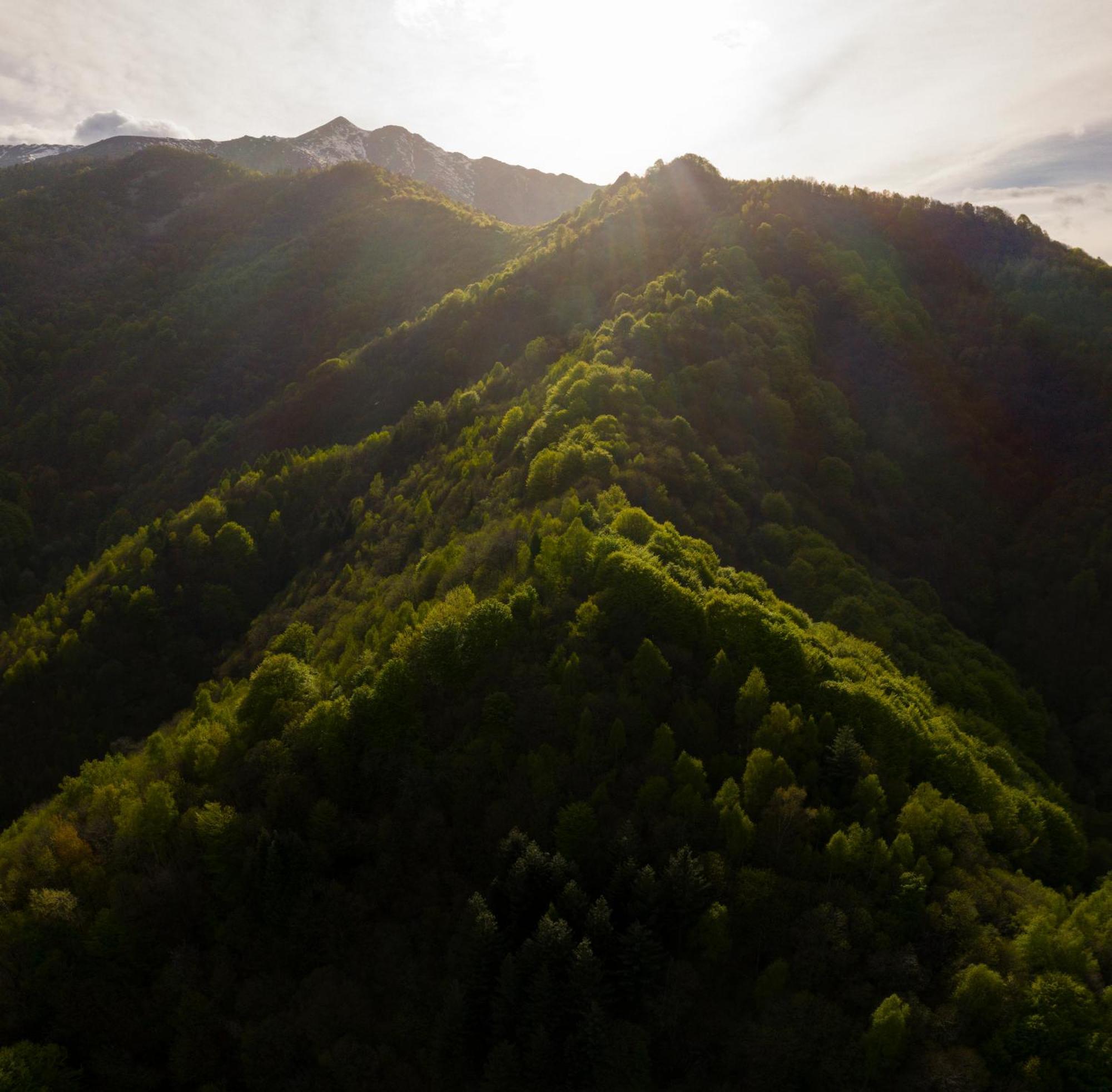 Iduevagamondi - Ospitalita Rurale Famigliare Di Montagna Bed and Breakfast Chiusa di Pesio Buitenkant foto
