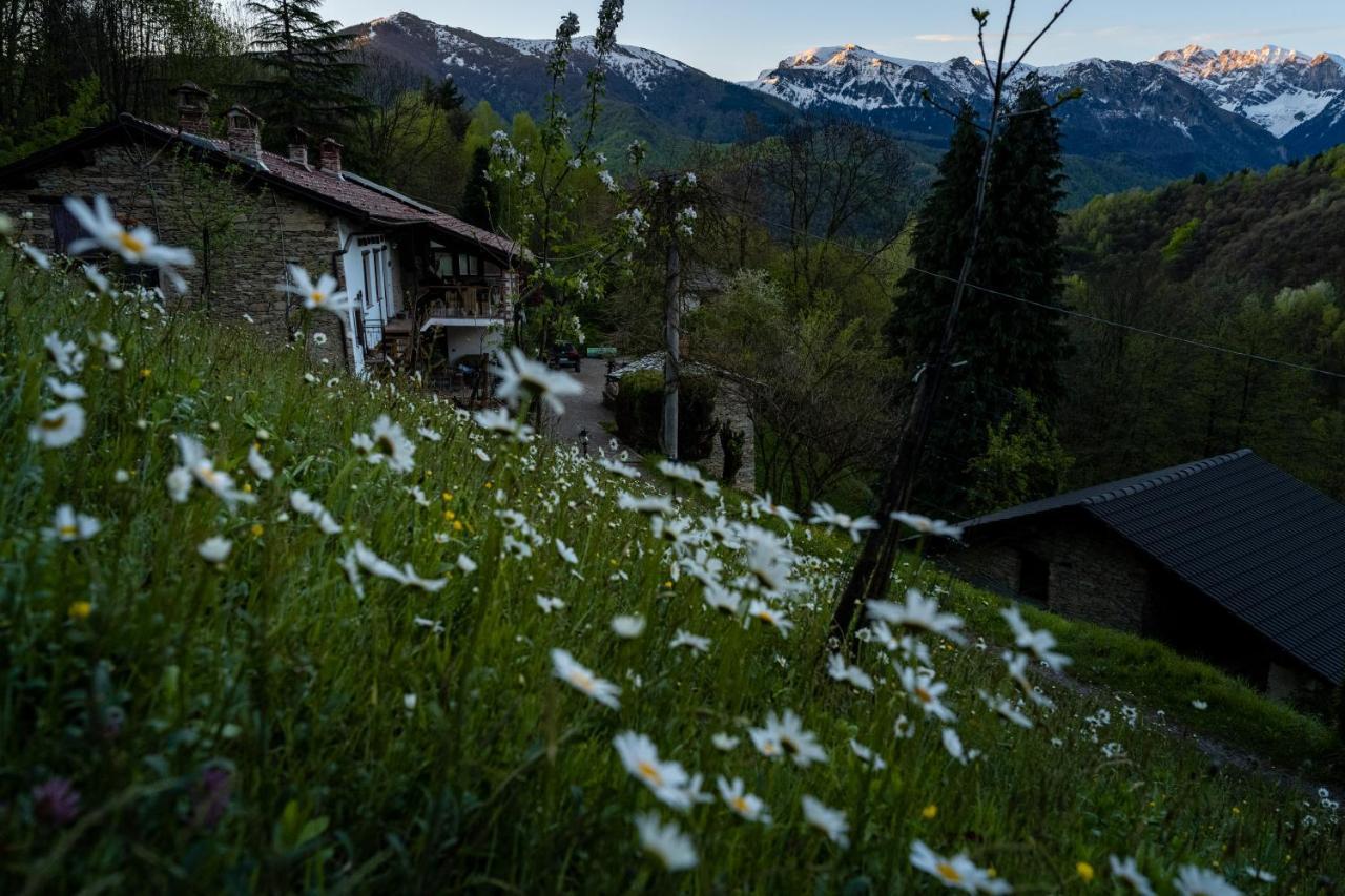 Iduevagamondi - Ospitalita Rurale Famigliare Di Montagna Bed and Breakfast Chiusa di Pesio Buitenkant foto